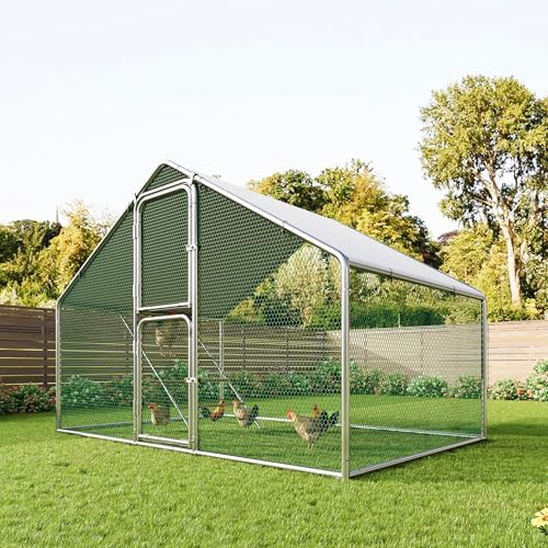 Large metal walk in coop with roosting perch