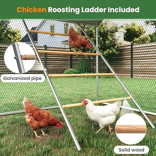 Large metal walk in coop with roosting perch — photo 4