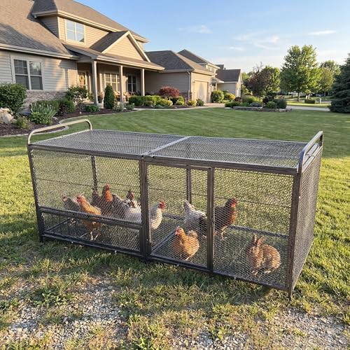 Metal chicken coop with bottom mesh floor