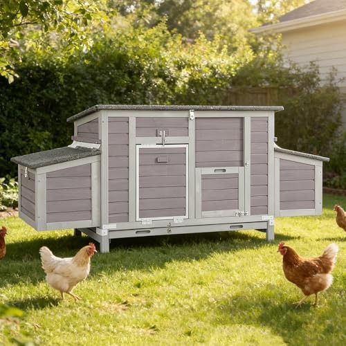 Reinforced frame outdoor hen house with nesting box