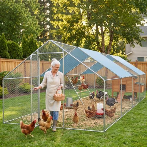 Extra large metal walk in chicken run — photo 4
