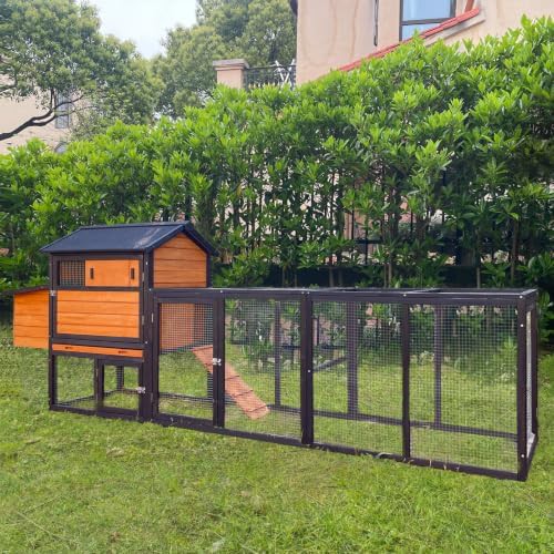 Brown and black wooden coop with tray