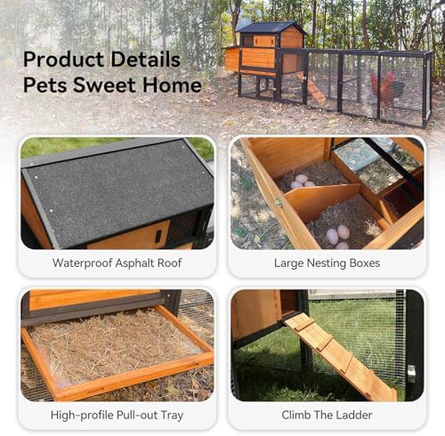 Brown and black wooden coop with tray — photo 4