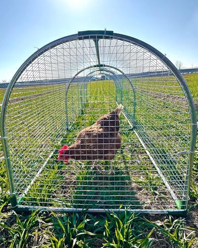Outdoor metal chicken tunnel for yard use — photo 5