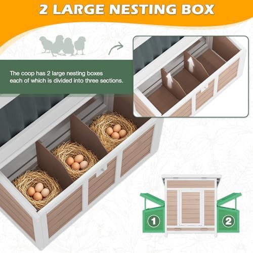 Khaki wooden chicken house with six nesting boxes — photo 4