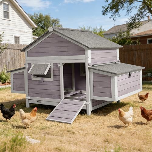 Wooden hen house with asphalt roof and perch