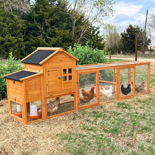 Wooden coop with waterproof asphalt roof — photo 4
