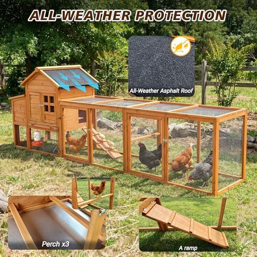 Wooden coop with waterproof asphalt roof — photo 5