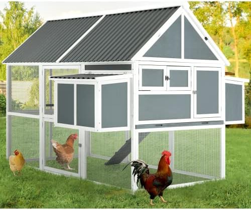 Large Two Story Coop with Pull Out Tray