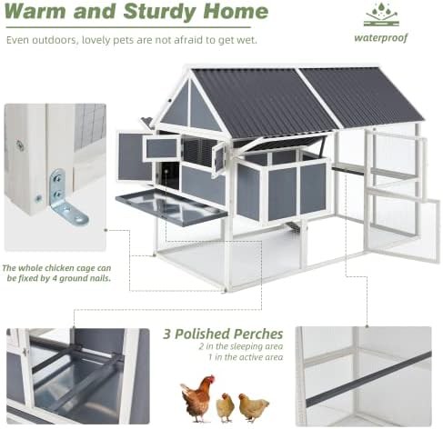 Large Two Story Coop with Pull Out Tray — photo 4