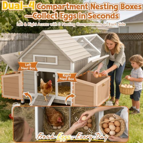 Large wooden chicken coop with run — photo 3