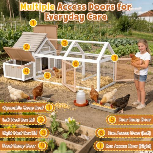 Large wooden chicken coop with run — photo 4