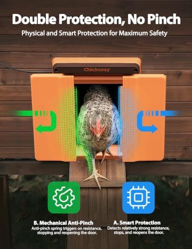 Solar automatic coop door with dual motor — photo 4