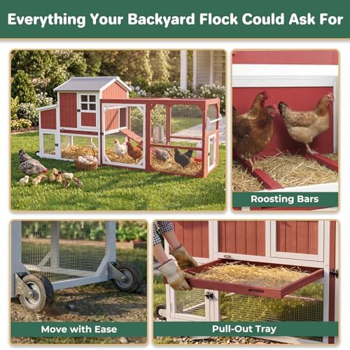 Large chicken tractor on wheels for outdoor use — photo 5