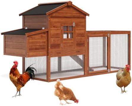 Compact wooden coop with nesting box