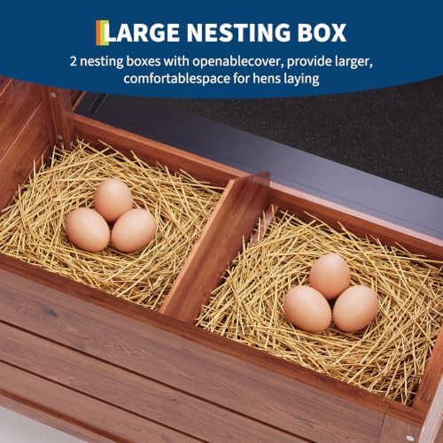 Compact wooden coop with nesting box — photo 5