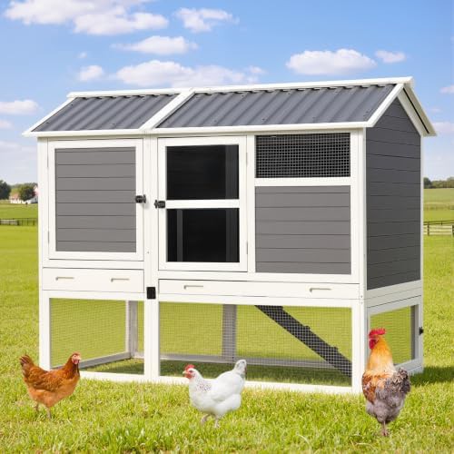 Grey and White Coop with Four Nesting Boxes