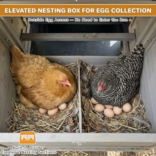 Mobile chicken coop with integrated wire run — photo 3