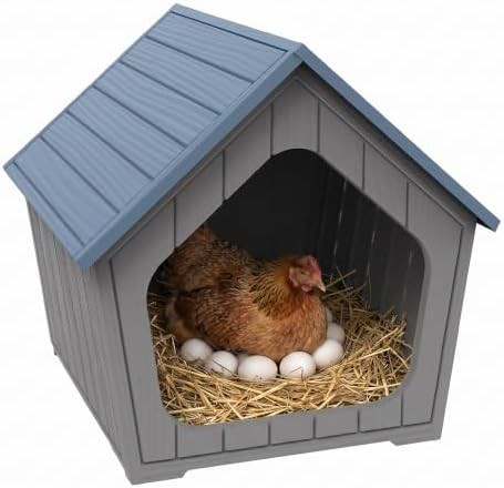 Blue indoor and outdoor chicken coop