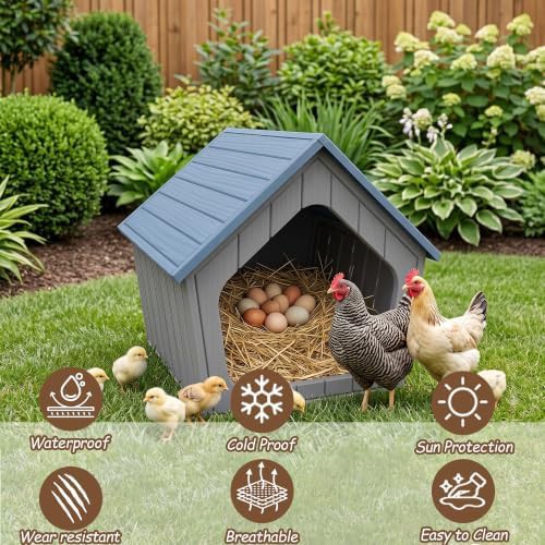 Blue indoor and outdoor chicken coop — photo 4