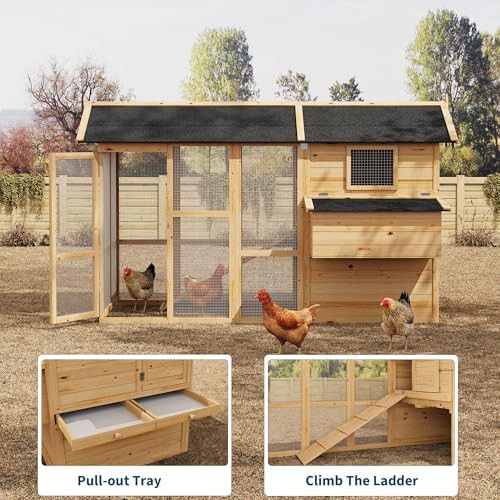 Large wooden chicken coop with asphalt roof — photo 3