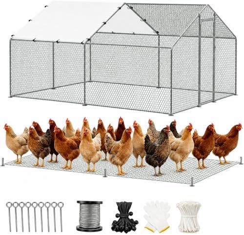 Tall metal chicken coop with wire mesh