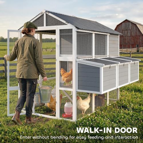 Gray walk in coop with three nesting boxes — photo 4
