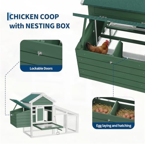 Outdoor wooden hen house with nesting box — photo 5