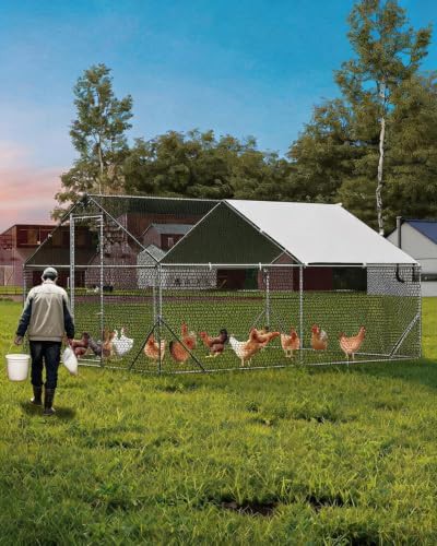 Large metal chicken run and kennel