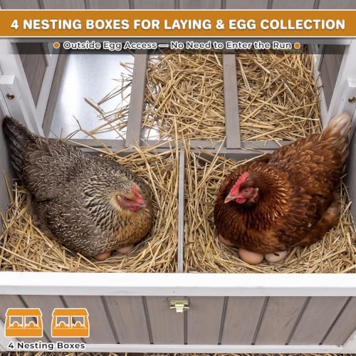 Large outdoor coop with long stationary run — photo 3