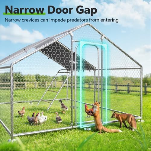 Walk in metal poultry run enclosure — photo 5