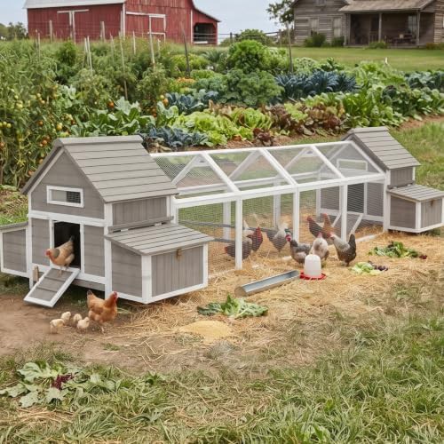 Large wooden coop with eight nesting boxes