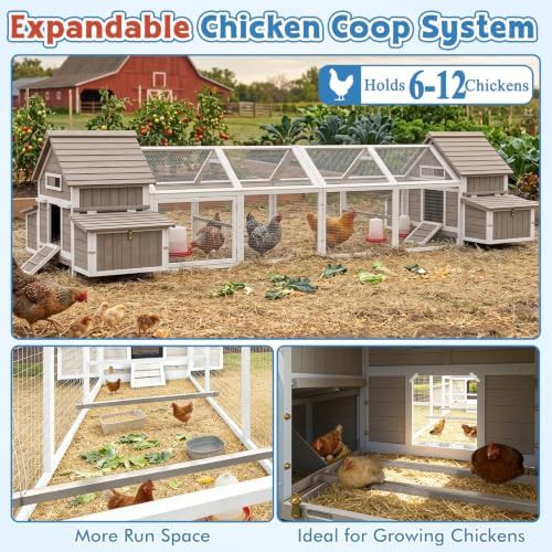 Large wooden coop with eight nesting boxes — photo 3