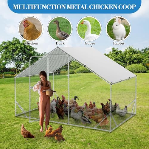 Large metal chicken coop with waterproof cover — photo 3