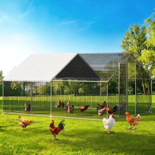 Thirteen foot metal frame chicken run for backyards
