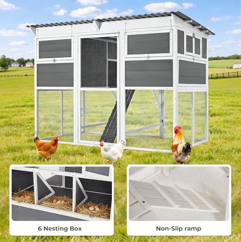 Extra Large Outdoor Coop with Lockable Run — photo 4