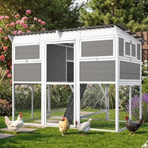 Extra Large Outdoor Coop with Lockable Run — photo 5