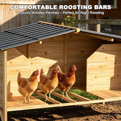 Natural wood poultry cage with dual nesting boxes — photo 4