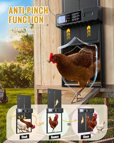 Automatic solar powered chicken coop door — photo 4