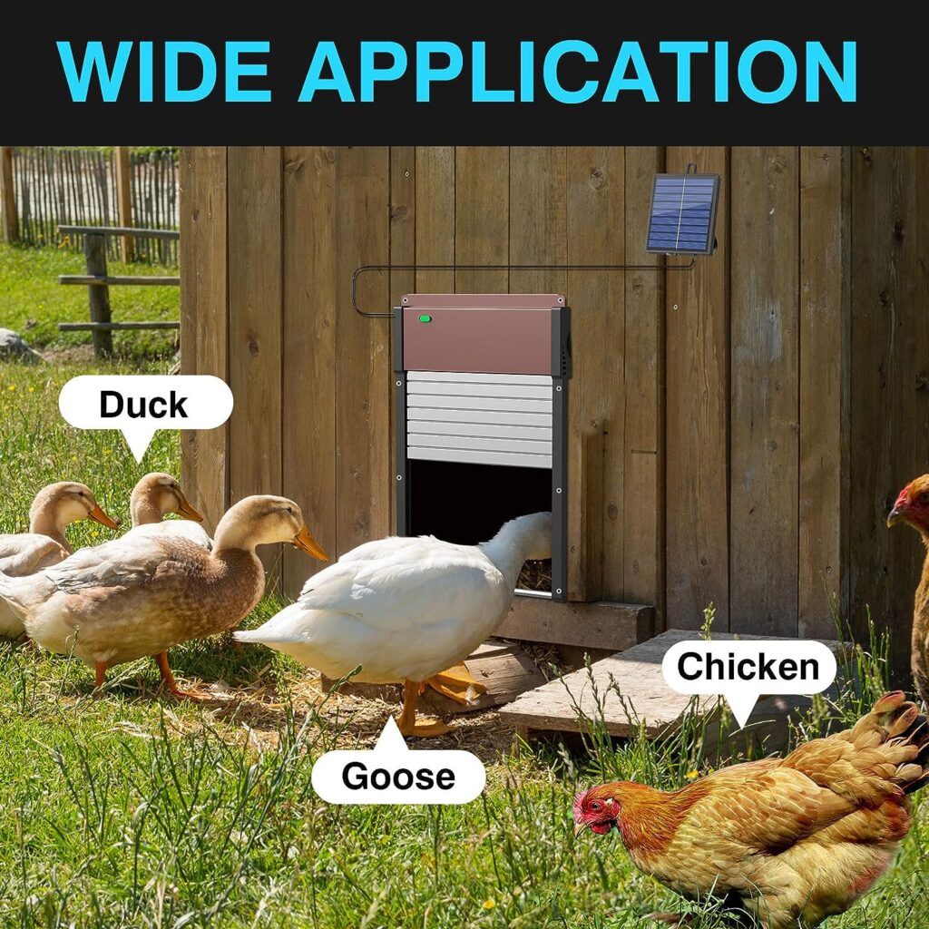 Automatic Chicken Coop Door Opener - Solar Powered, Timer  Light Sensor Modes, Remote Control, and Aluminum Chicken Coops Door