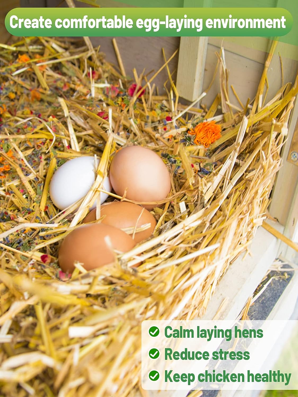 Chicken Nesting Herbs Review