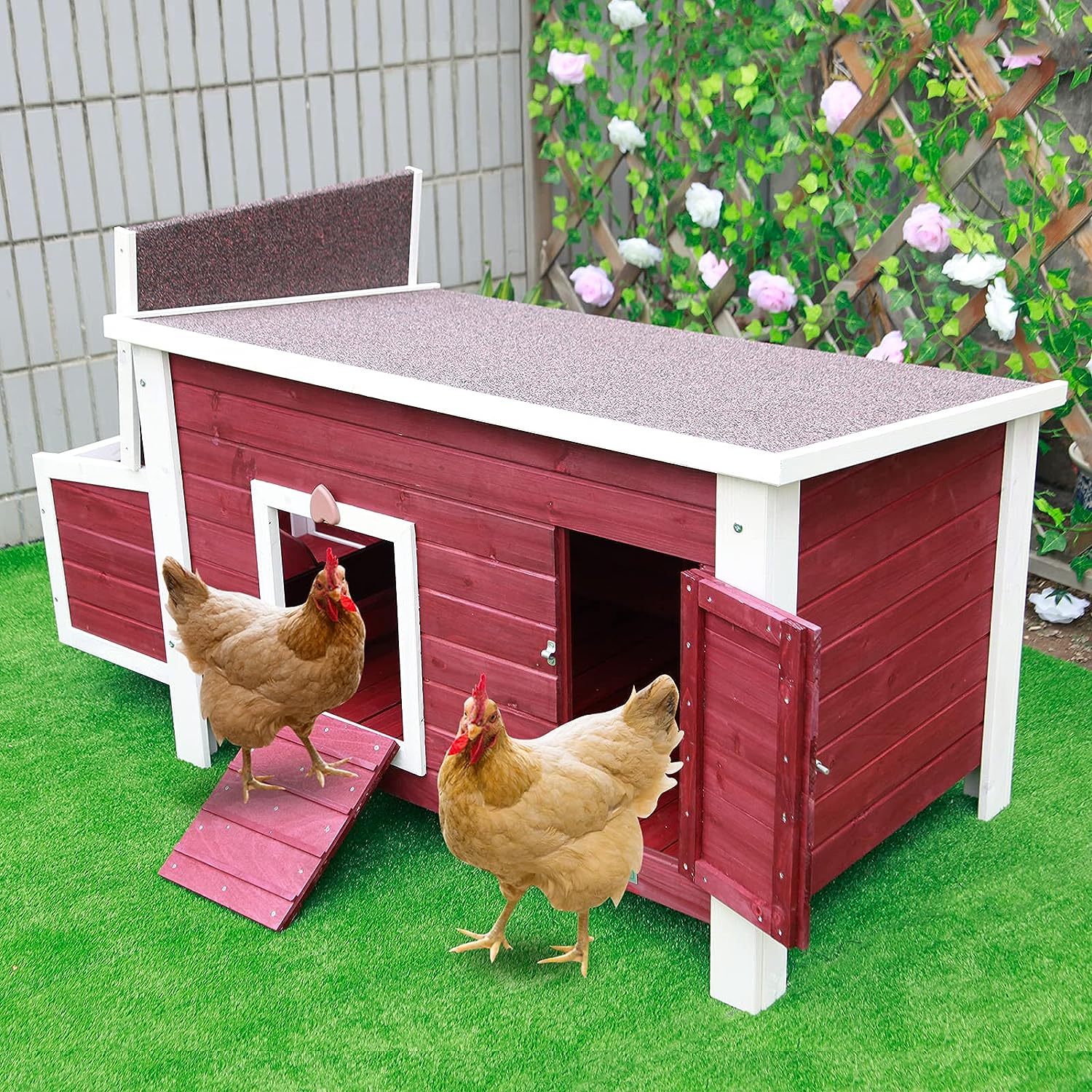 Petsfit Chicken Coop Review